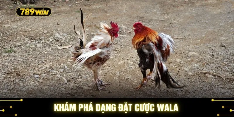 Khám phá dạng đặt cược Wala
